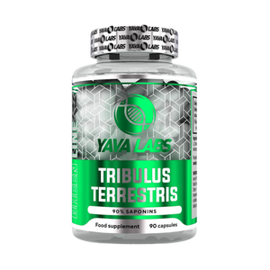 Tribulus Terrestris 90% Saponins / 90 caps | Stimuleert testosteron niveau, kracht en libido.
