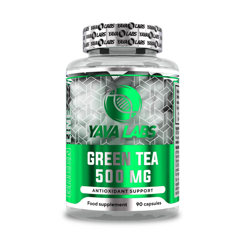 Green tea 500 MG / 90 Caps | Ondersteunt de vetverbranding.