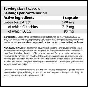 Green tea 500 MG / 90 Caps | Ondersteunt de vetverbranding.